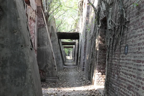 Old Building India — Stok fotoğraf