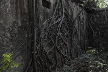 Eski taş duvar dokusu