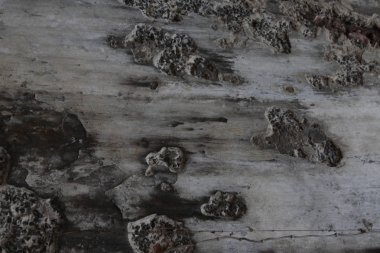 Eski taş duvar dokusu