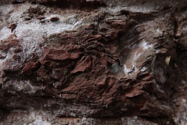 Eski taş duvar dokusu