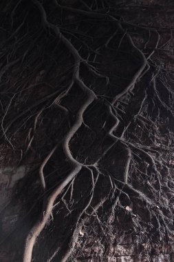 Eski taş duvar dokusu