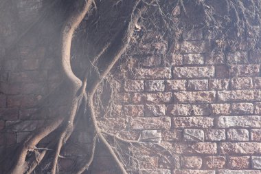 Eski taş duvar dokusu