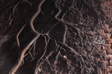 Eski taş duvar dokusu