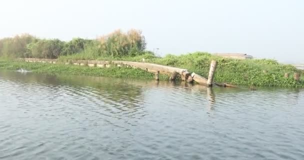 Lótusz virágos tó Kerala India