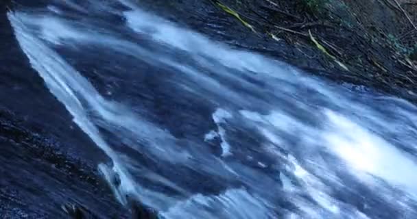 Water running Through mossy rocks — Stock Footage Water Running Mossy Rocks Video Clip