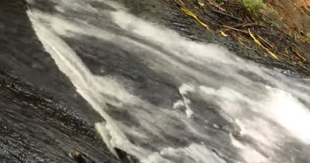 Water running Through mossy rocks — Stock Footage Water Running Mossy Rocks Video Clip