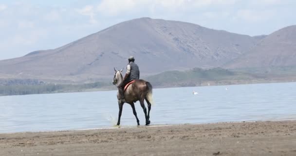 Horse Riding in water Masai Mara Kenya Africa — Stock Footage Horse Riding Water Masai Mara Kenya Africa Stock Video