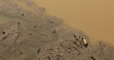 Barajda Odun ve Çöp Birikti