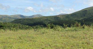 Tepe ve Bulutlar Koraput Odisha Hindistan