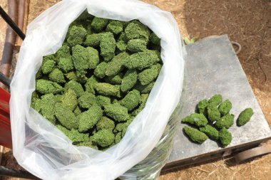 Satılık Yeşil Kurutulmuş Marihuana Tomurcukları