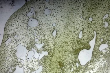 Cam yüzeyde canlı yağ kabarcıkları