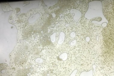 Cam yüzeyde canlı yağ kabarcıkları