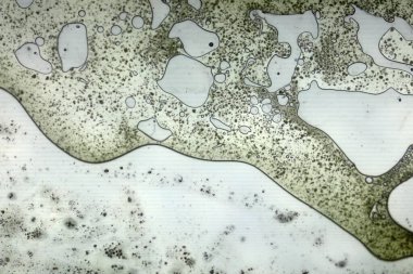 Cam yüzeyde canlı yağ kabarcıkları