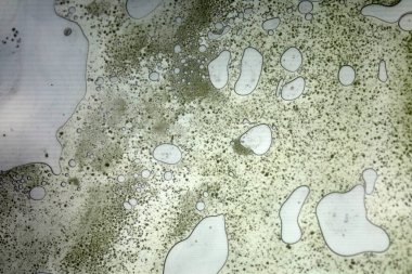 Cam yüzeyde canlı yağ kabarcıkları