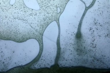 Cam yüzeyde canlı yağ kabarcıkları