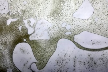 Cam yüzeyde canlı yağ kabarcıkları