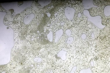 Cam yüzeyde canlı yağ kabarcıkları