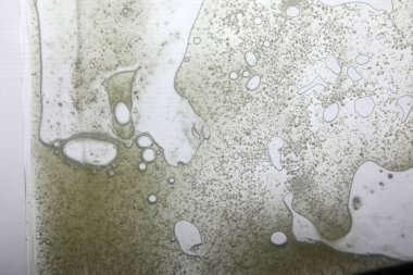 Cam yüzeyde canlı yağ kabarcıkları