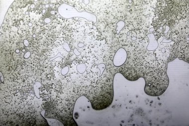 Cam yüzeyde canlı yağ kabarcıkları