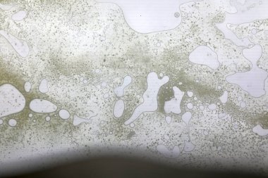 Cam yüzeyde canlı yağ kabarcıkları