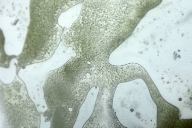 Cam yüzeyde canlı yağ kabarcıkları