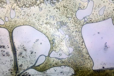 Cam yüzeyde canlı yağ kabarcıkları