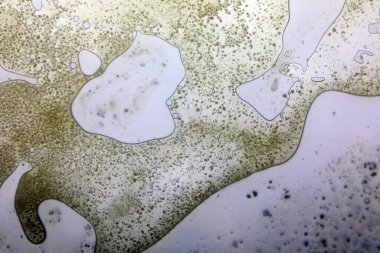 Cam yüzeyde canlı yağ kabarcıkları