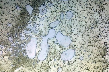 Cam yüzeyde canlı yağ kabarcıkları