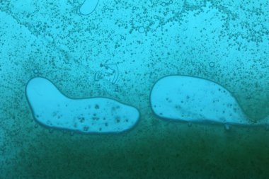 Cam yüzeyde canlı yağ kabarcıkları