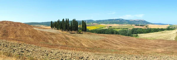Tipik Toskana göster - selvi - İtalya