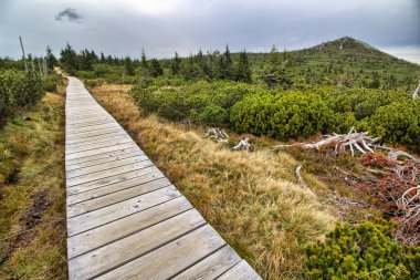 Szrenica dağın Giant Mountains - Szklarska Poreba şehir - Giant Mountains içinde