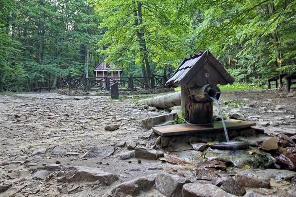 Tapınak ve St. Catherine - Lysica dağ - Kielce - Polonya St. Francis kaynağıdır