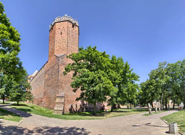 Royal Castle Leczyca City - Polonya