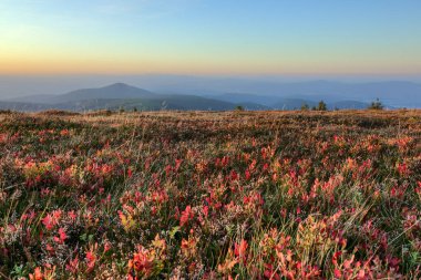 Snieznik dağında sonbahar - Karpatlar - Polonya