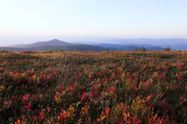 Podzim Pohoří Snieznik Karpaty Polsko — Stock fotografie