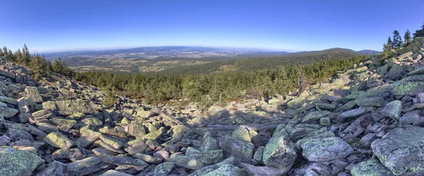 Pico Árvore Mar Nas Montanhas Gigantes Polónia — Fotografia de Stock