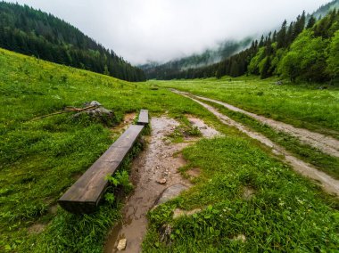 Küçük Çayır Vadisi - Tatry - Zakopane