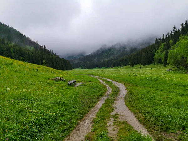 Piccola Valle Del Prato Tatry Zakopane — Foto Stock