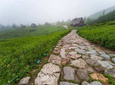  Hala Gasiennicowa - Tatry - Polonya