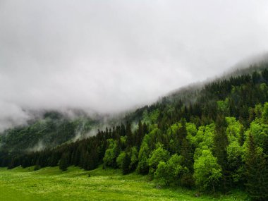 Küçük Çayır Vadisi - Tatry - Zakopane