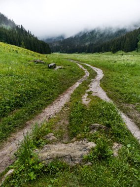 Küçük Çayır Vadisi - Tatry - Zakopane