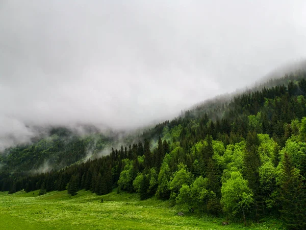 Vale Prado Pequeno Tatry Zakopane — Fotografia de Stock