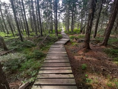 Yoldaki yaya köprüsü - Dev Dağlar - Polonya