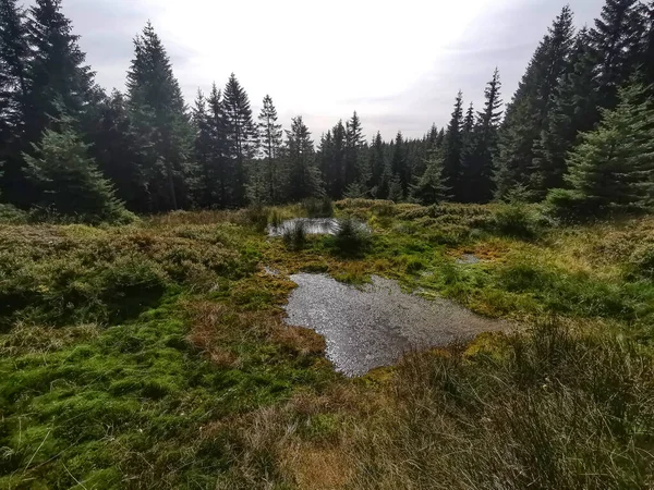 Vista Las Montañas Jizera Montañas Los Sudetes Polonia — Foto de Stock