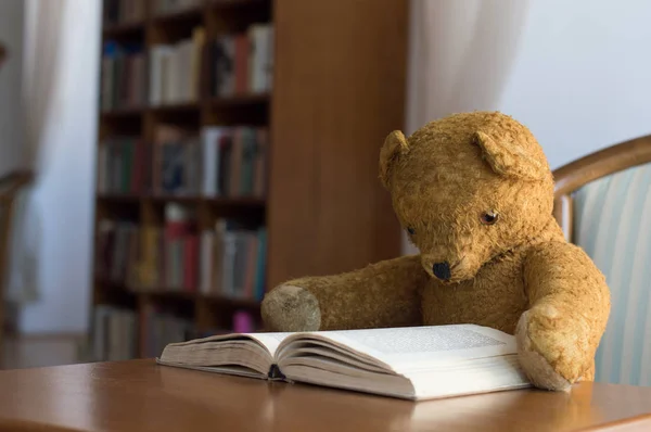 Funny fantasy scene with an old teddy bear in the library