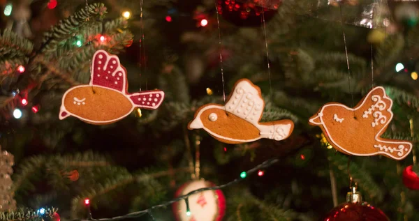 Eatable christmas decoration - Bird shaped gingerbreads hanging on the christmas tree with light garland and glass spheres