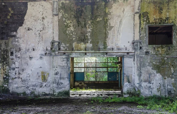 Abandoned industrial hall with morning sunshine - vegetation growing inside, plaster falling from the rotten walls