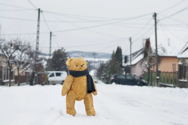 Teddy bear walks on the street in the winter - European dreamy scene
