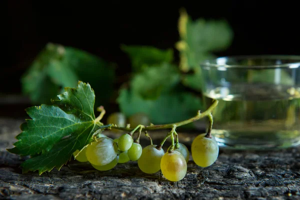 Üzüm Beyaz Şarap Eski Mahzende — Stok fotoğraf