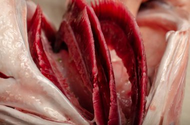 Biftekler için masada bıçakla kesilmiş taze balık.